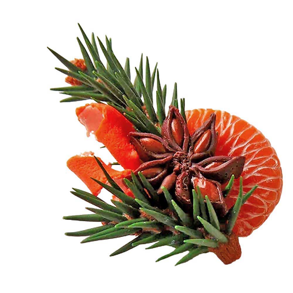 Christmas Spark:  Mandarin & Anise Brooch Polymer Clay.