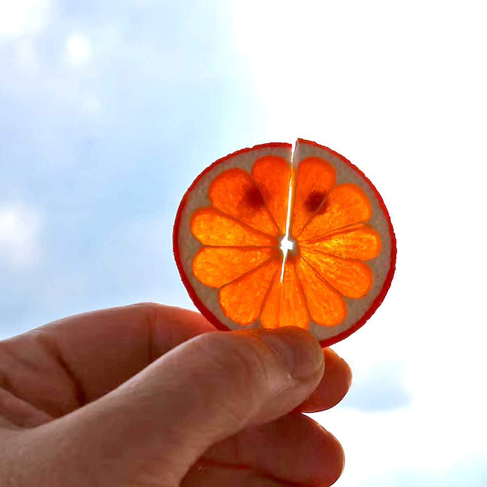 Juicy Duo: Orange Slice Earrings Polymer Clay.