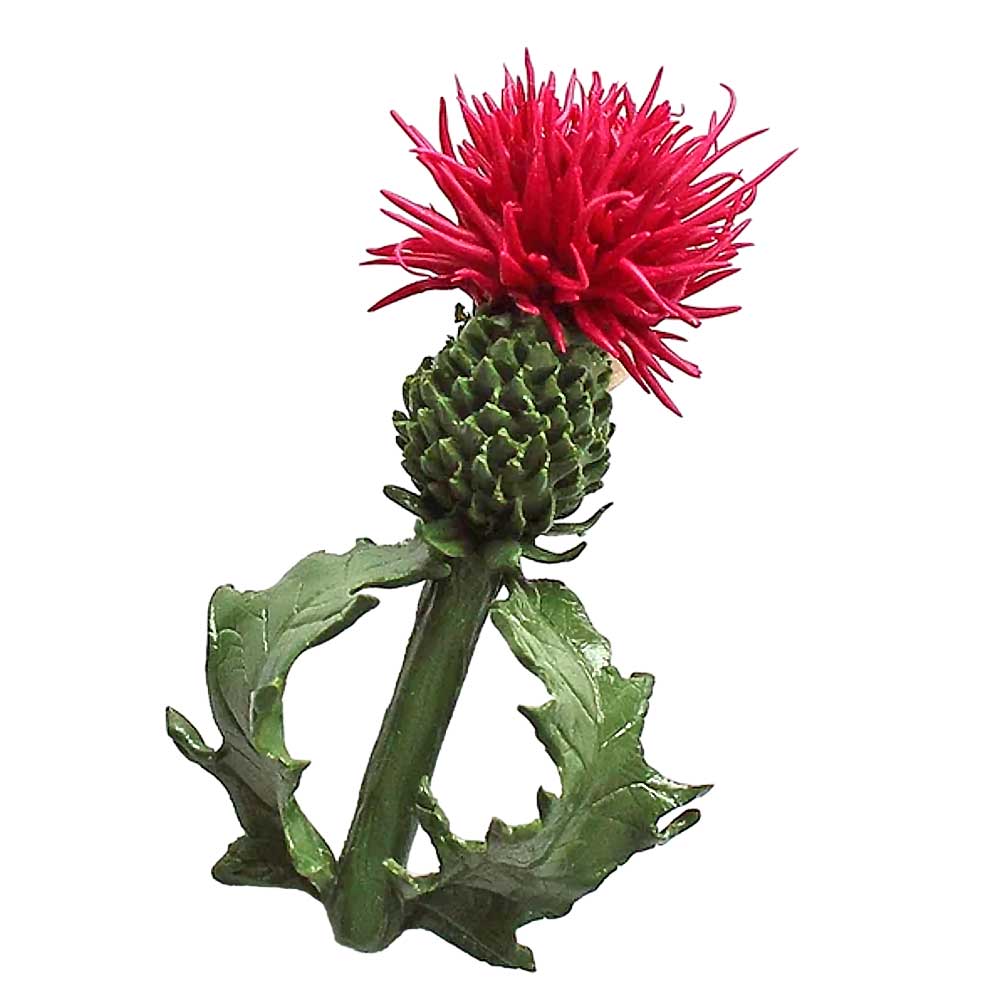 Spiky Beauty: Thistle Brooch Polymer Clay.