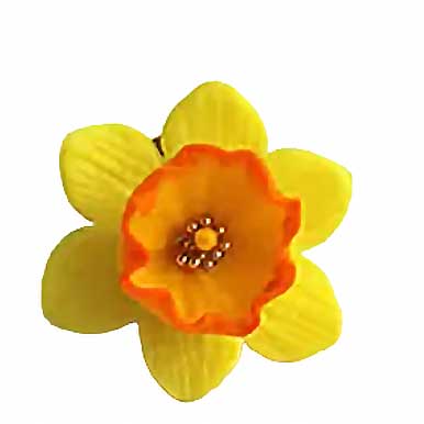 Spring's Promises: Daffodil Pin Polymer Clay.