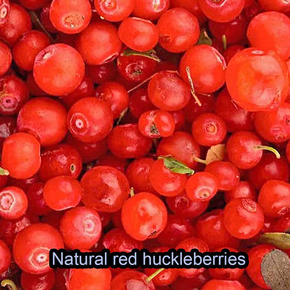 Natural Red Huckleberry.