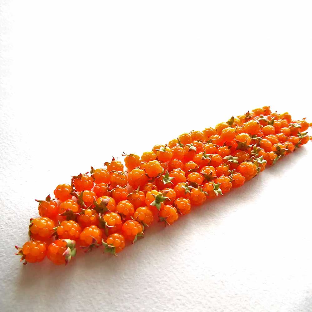 Berry Inspiration: Cloudberry Beads Polymer Clay.