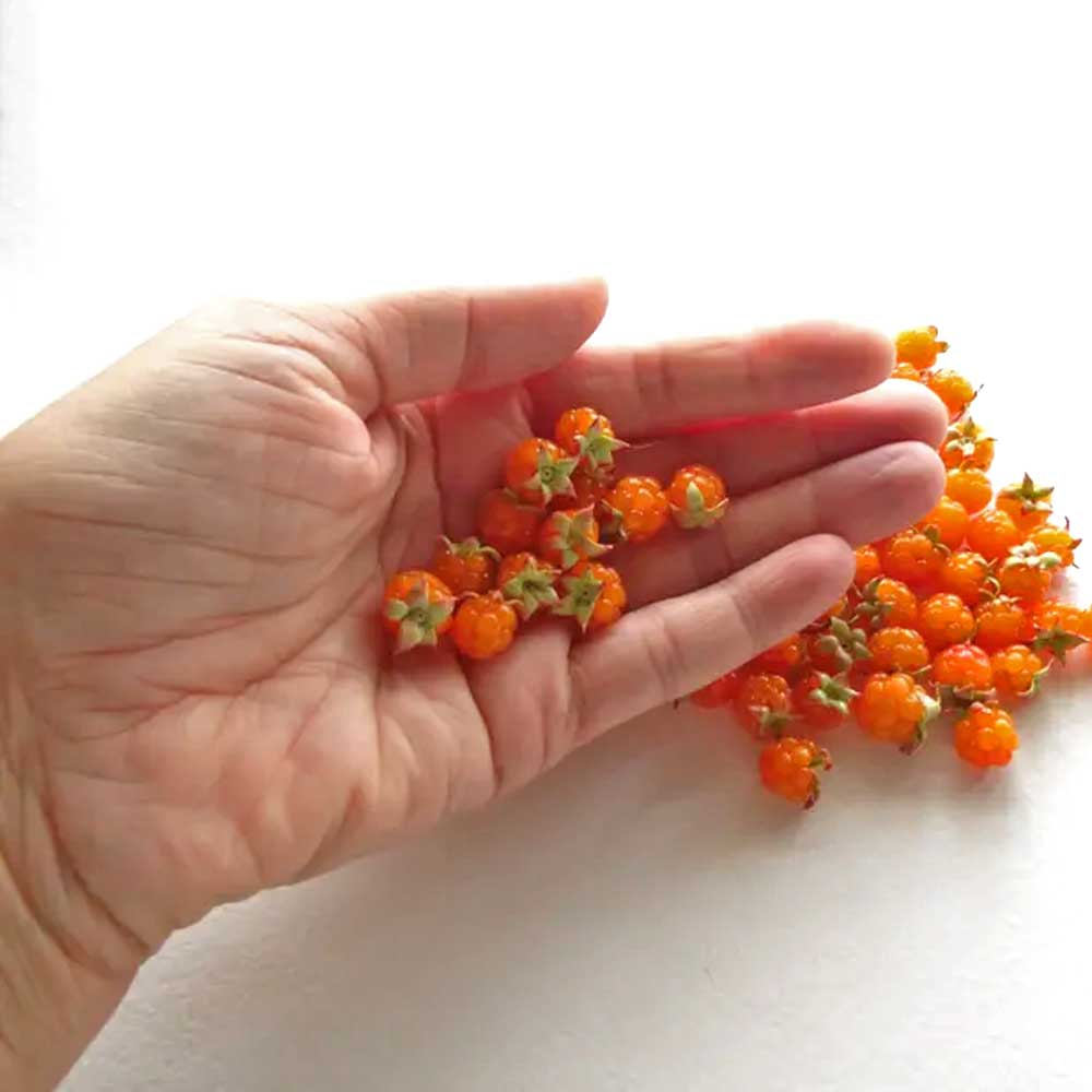 Berry Inspiration: Cloudberry Beads Polymer Clay.