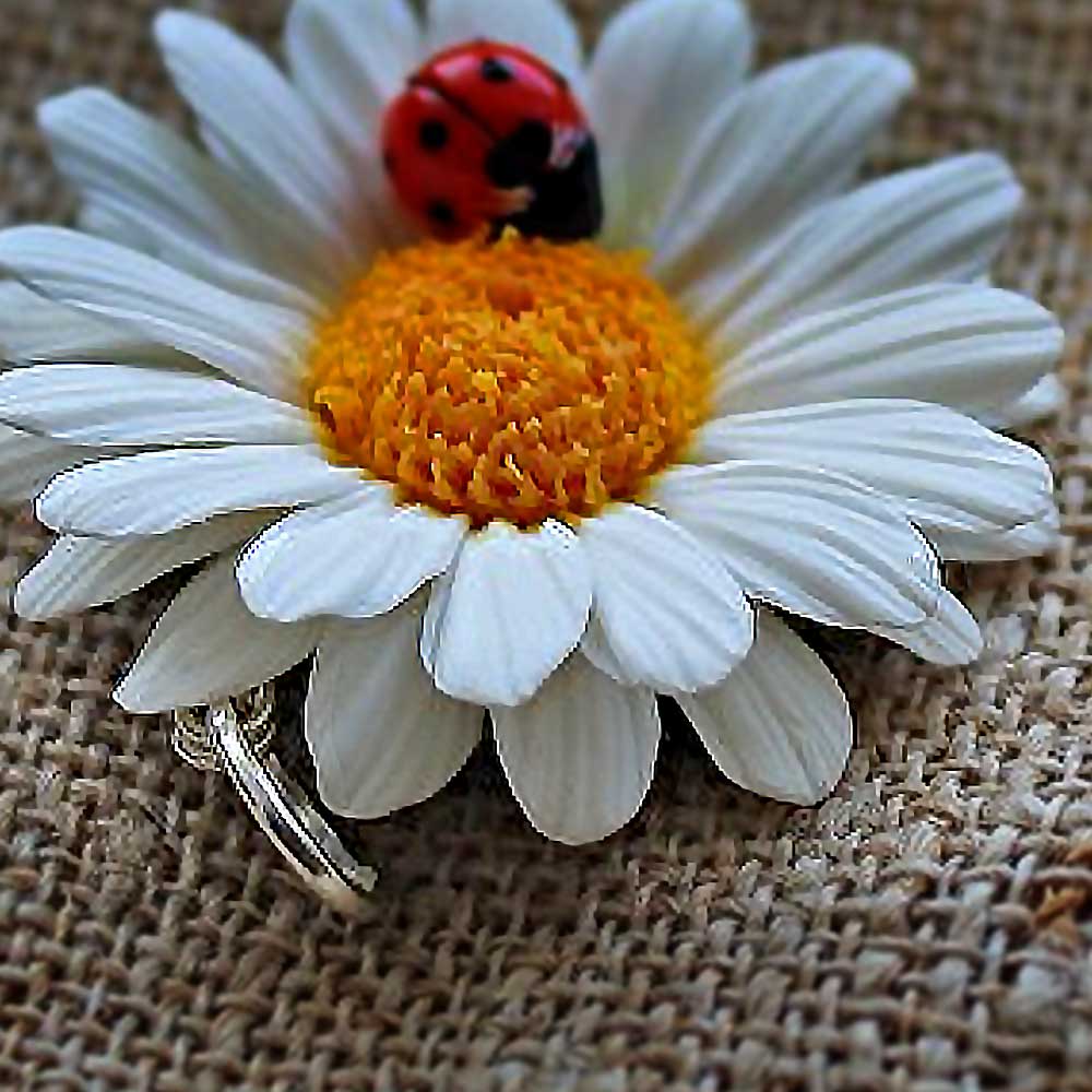 Tenderness and Love: Daisy & Ladybug Beads Polymer Clay.