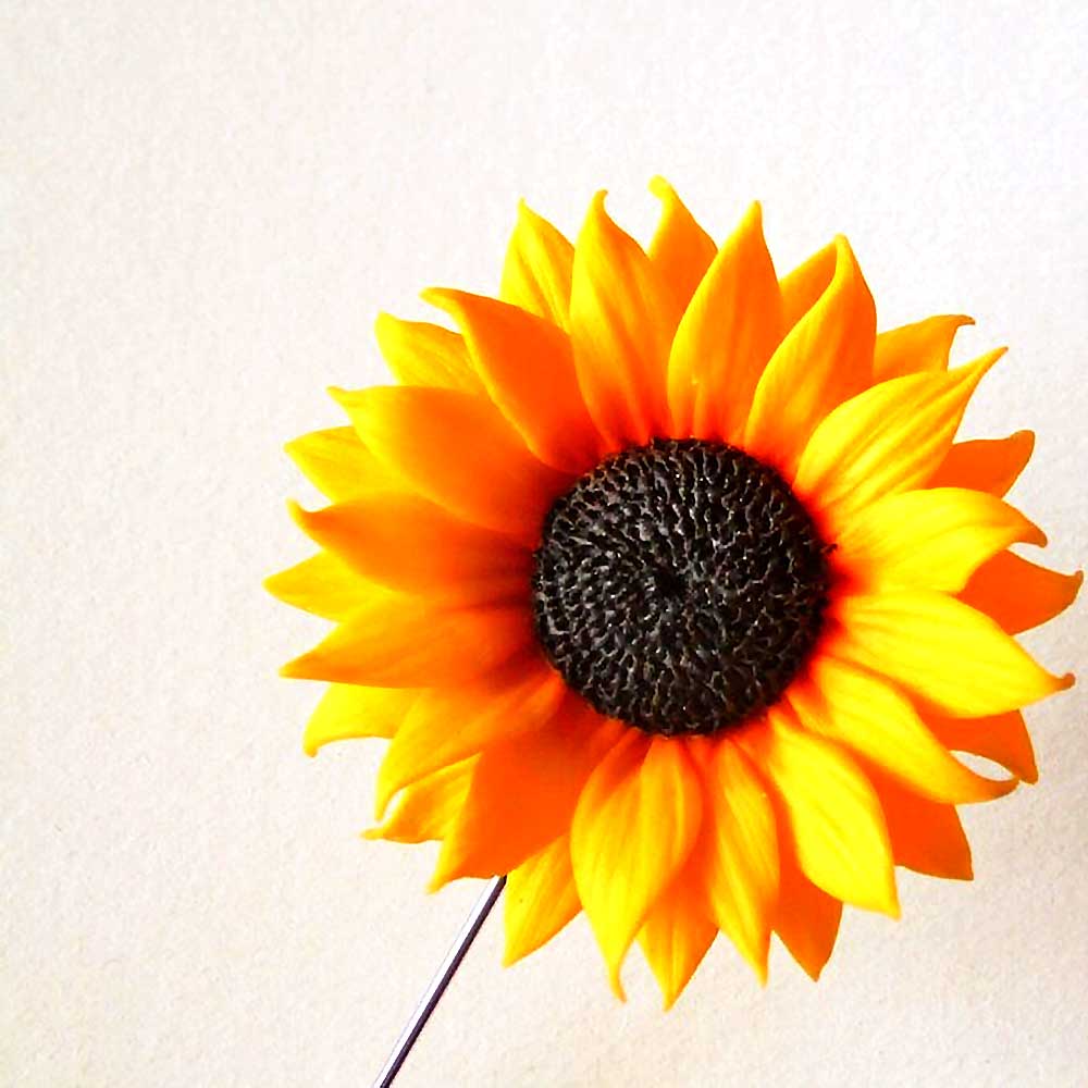 Golden Ray: Sunflower Pin Polymer Clay.