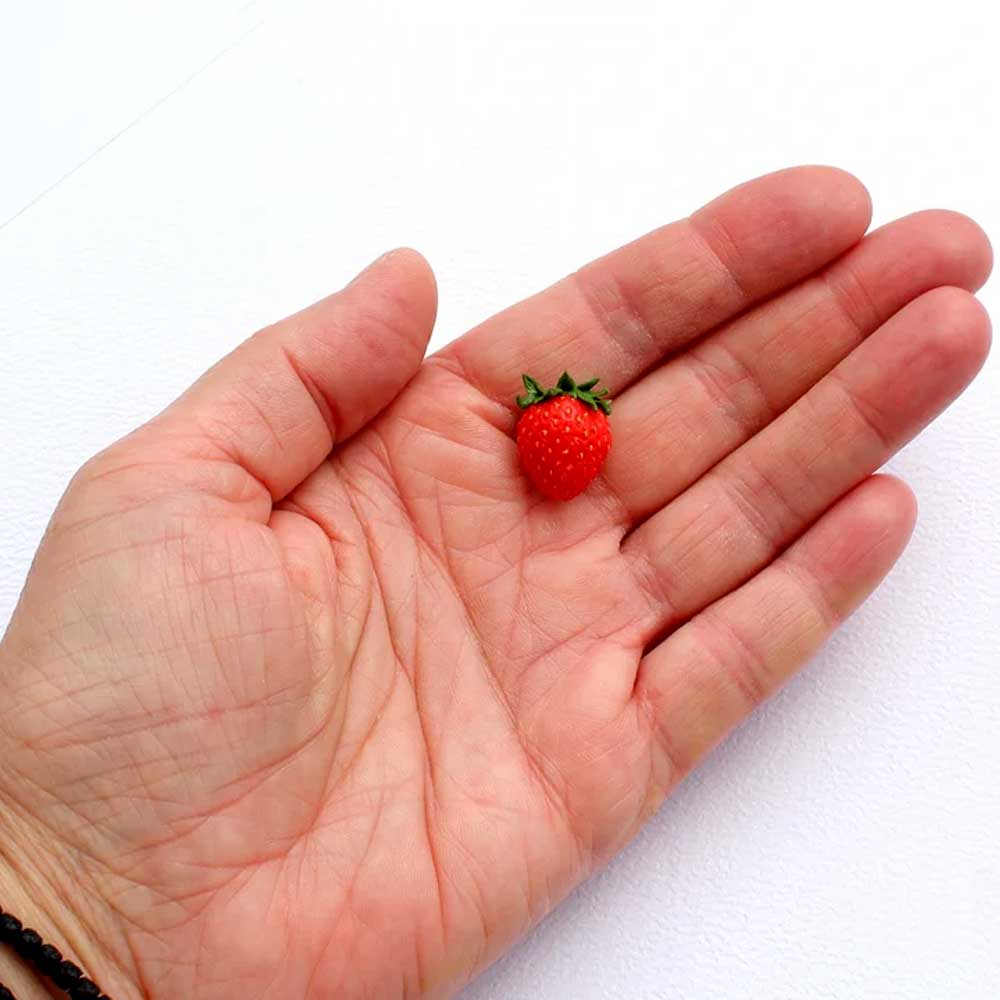 Berry Love: Strawberry Brooch Polymer Clay.