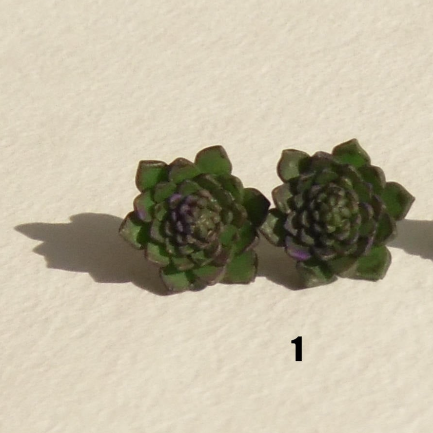 Nature's Fascination: Succulent Earrings Polymer Clay.