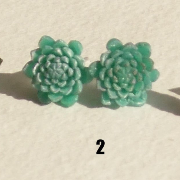 Nature's Fascination: Succulent Earrings Polymer Clay.