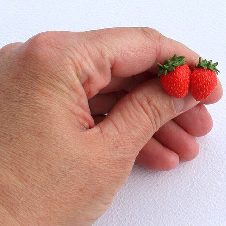 Flavor Explosion : Strawberry Earrings Polymer Clay.