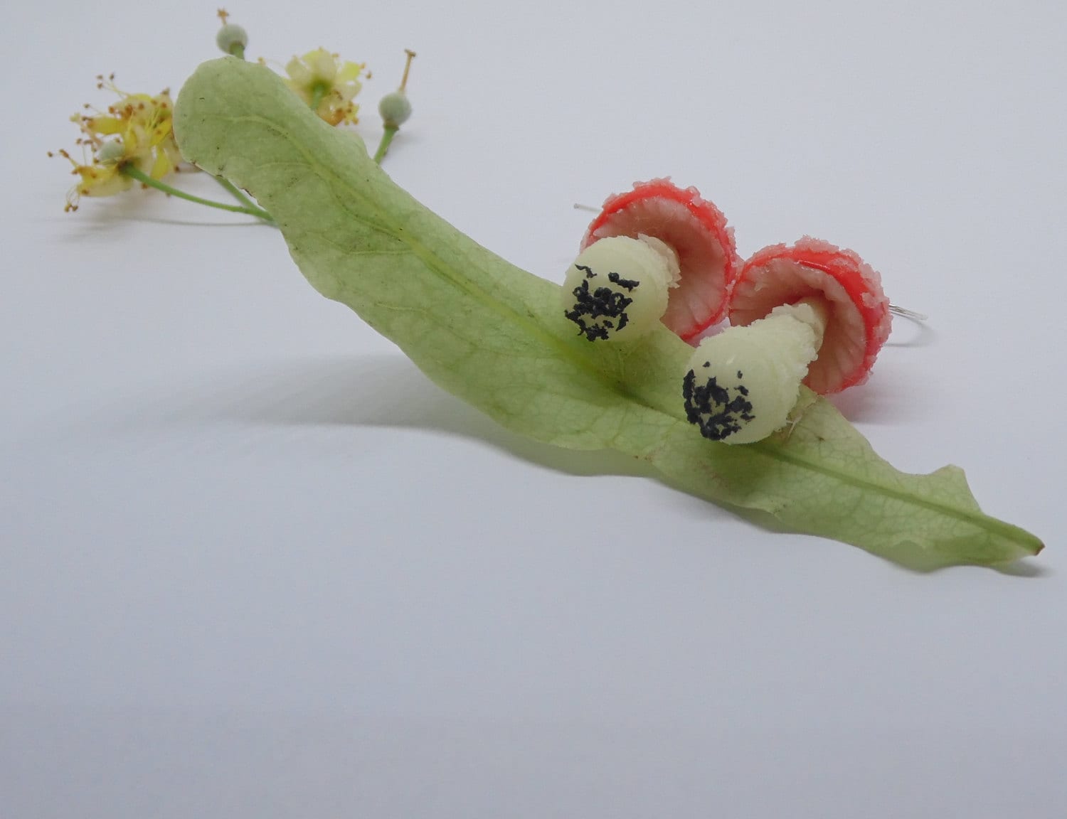 Amanita Fly Agaric Earrings Polymer Clay