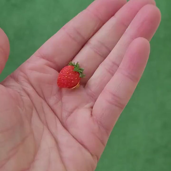 Berry Love: Strawberry Brooch Polymer Clay.