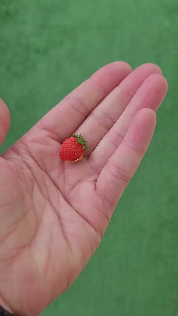 Berry Love: Strawberry Brooch Polymer Clay.