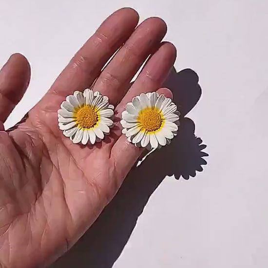 Shining white: Daisy Earrings Polymer Clay.