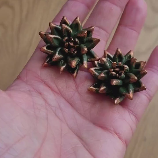 Unfading Charm: Succulent Earrings  Polymer Clay.