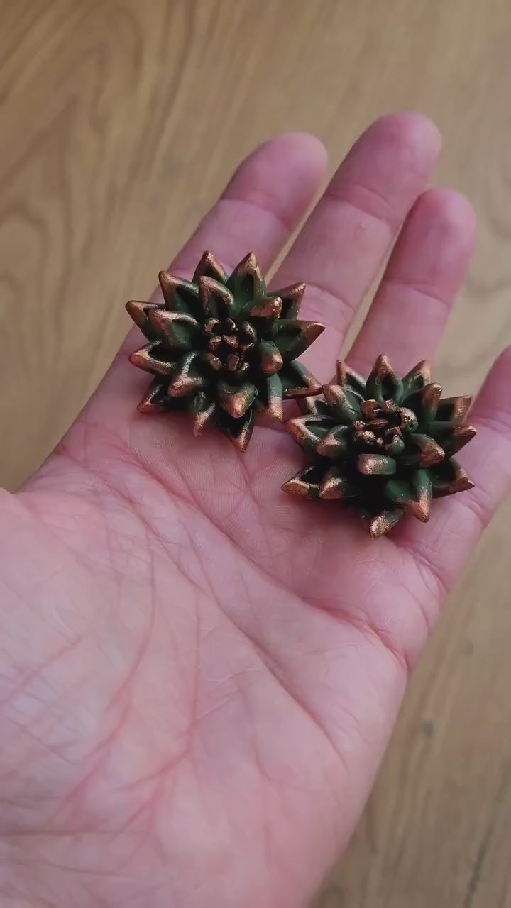 Unfading Charm: Succulent Earrings  Polymer Clay.