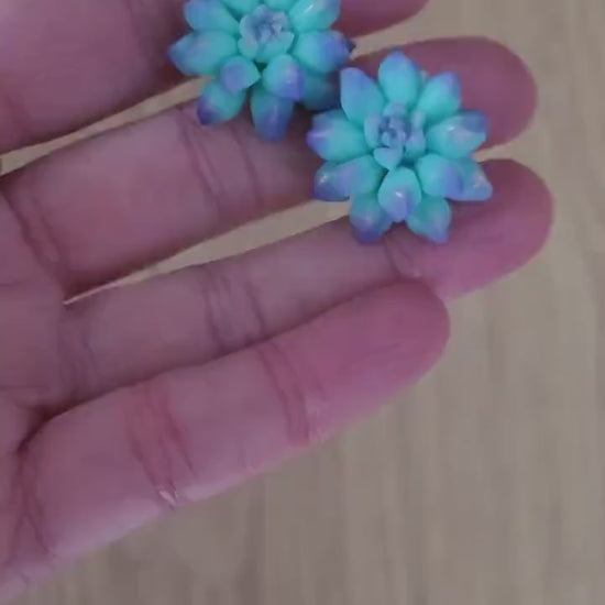 Tiny Treasures:: Succulent Earrings Polymer Clay.