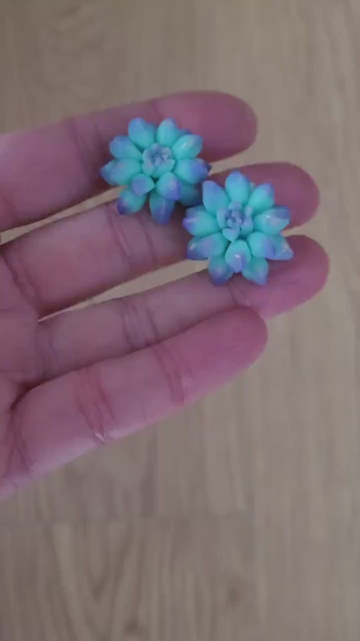 Tiny Treasures:: Succulent Earrings Polymer Clay.