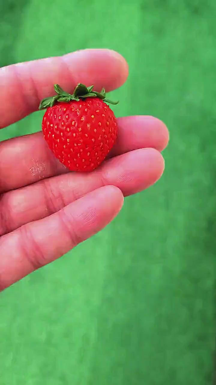 Flirty Strawberry Brooch Polymer Clay