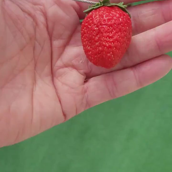 Berry Charm: Strawberry Keychain Polymer Clay.