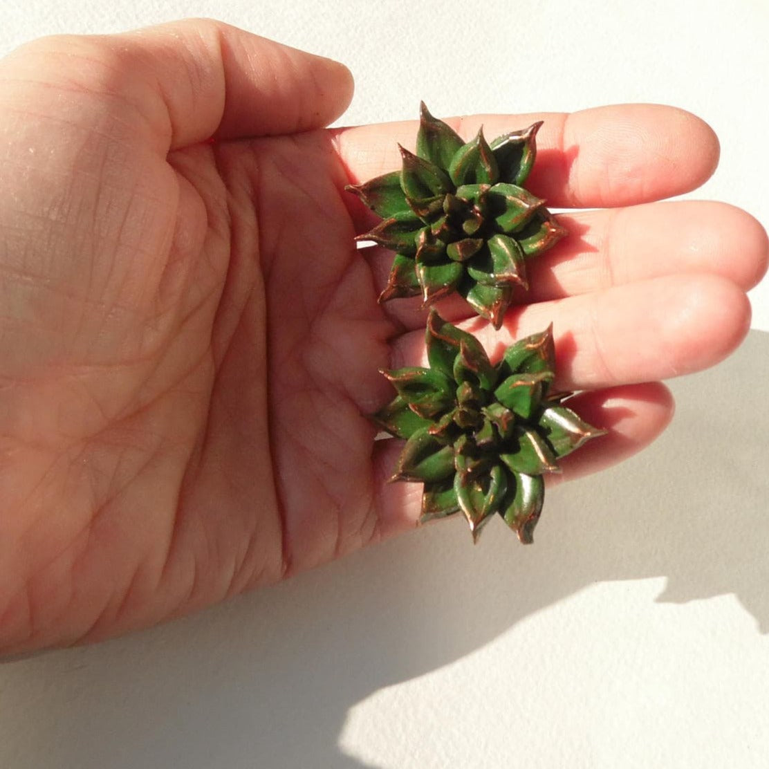 Unfading Charm: Succulent Earrings  Polymer Clay.