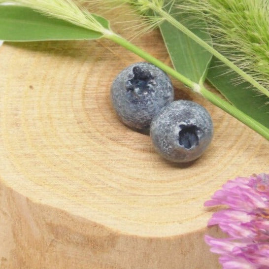 Juicy Droplets: Blueberry Earrings Polymer Clay.