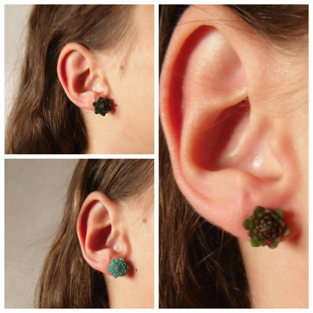 Nature's Fascination: Succulent Earrings Polymer Clay.