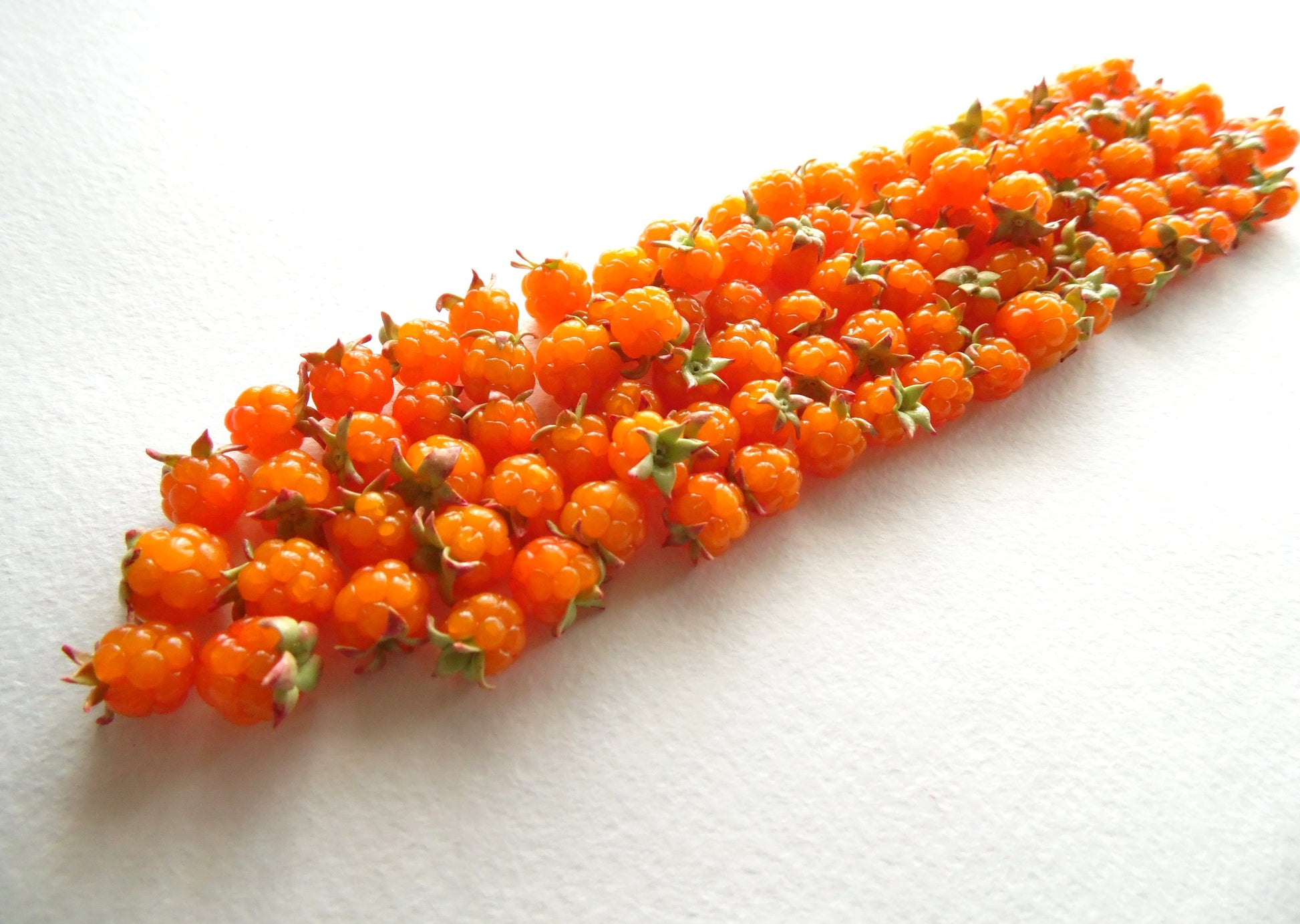 Forest Tale : Cloudberry Beads Polymer Clay (5pcs)