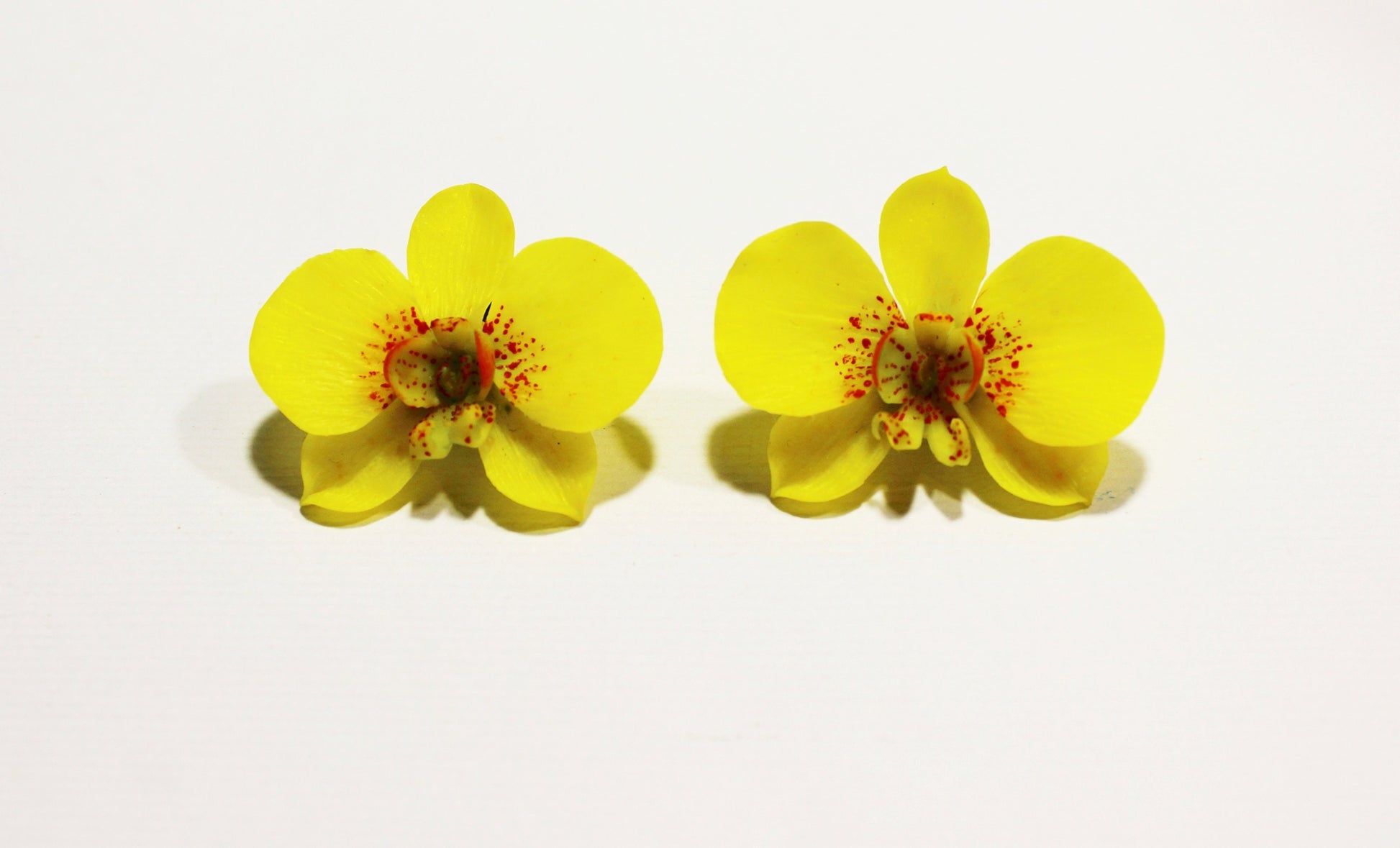 A floral extravaganza: Orchid Earrings Polymer Clay.