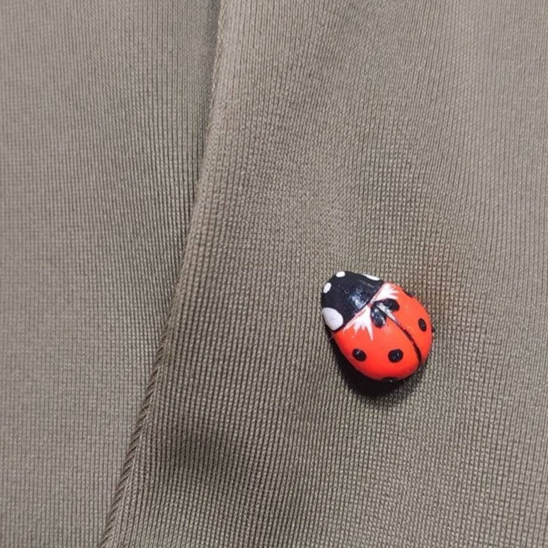 Happy Spot: Ladybug Brooch Polymer Clay.