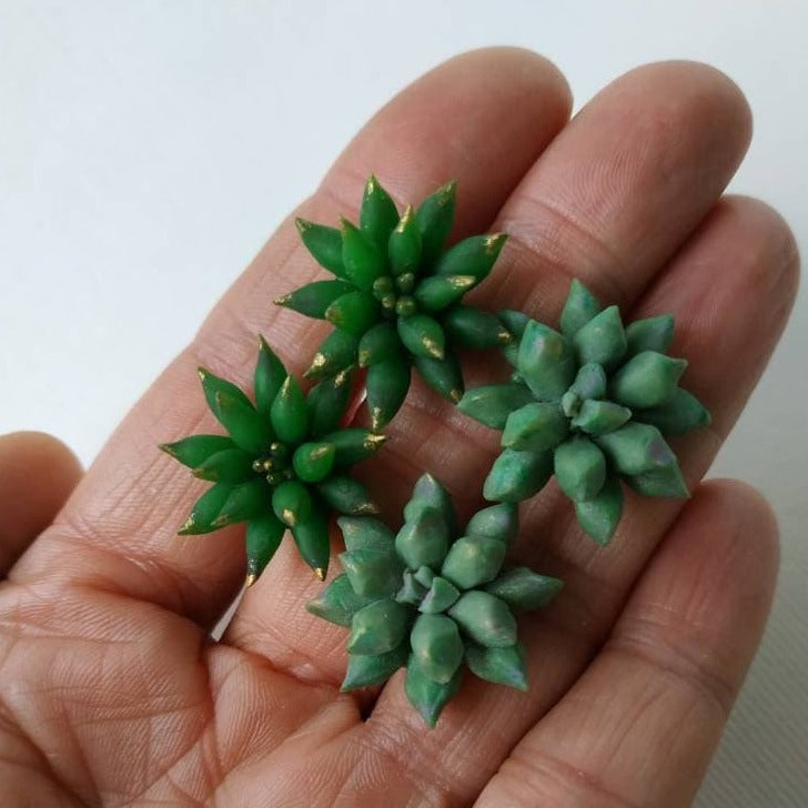 Evergreen Elegance: Succulent Earrings Polymer Clay.